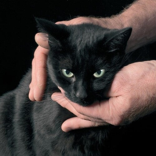 Peter Kernel - White Death, Black Heart (Vinyl)