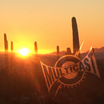 the album cover for Multicast - Travelogue