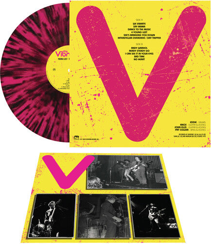 ザ・ヴァイブレーターズ - デモス 1976 (レコード)