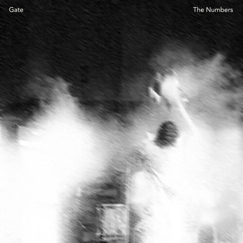 The Gate - Los Números (Vinilo)