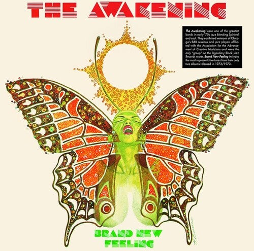 The Awakening - Brand New Feeling (Vinyl)