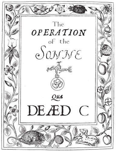 The Dead C - Operation Of The Sonne (Vinyl)