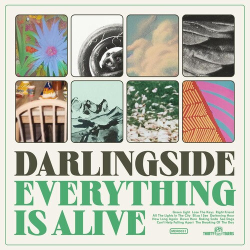 Darlingside - Everything Is Alive (Vinyl)