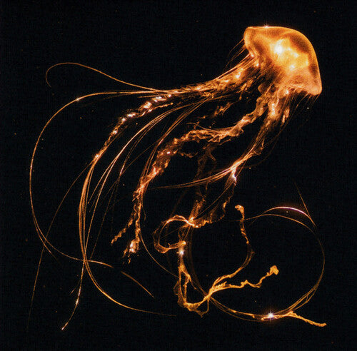 ロイヤル・ブラッド - バック・トゥ・ザ・ウォーター・ビロウ (CD)