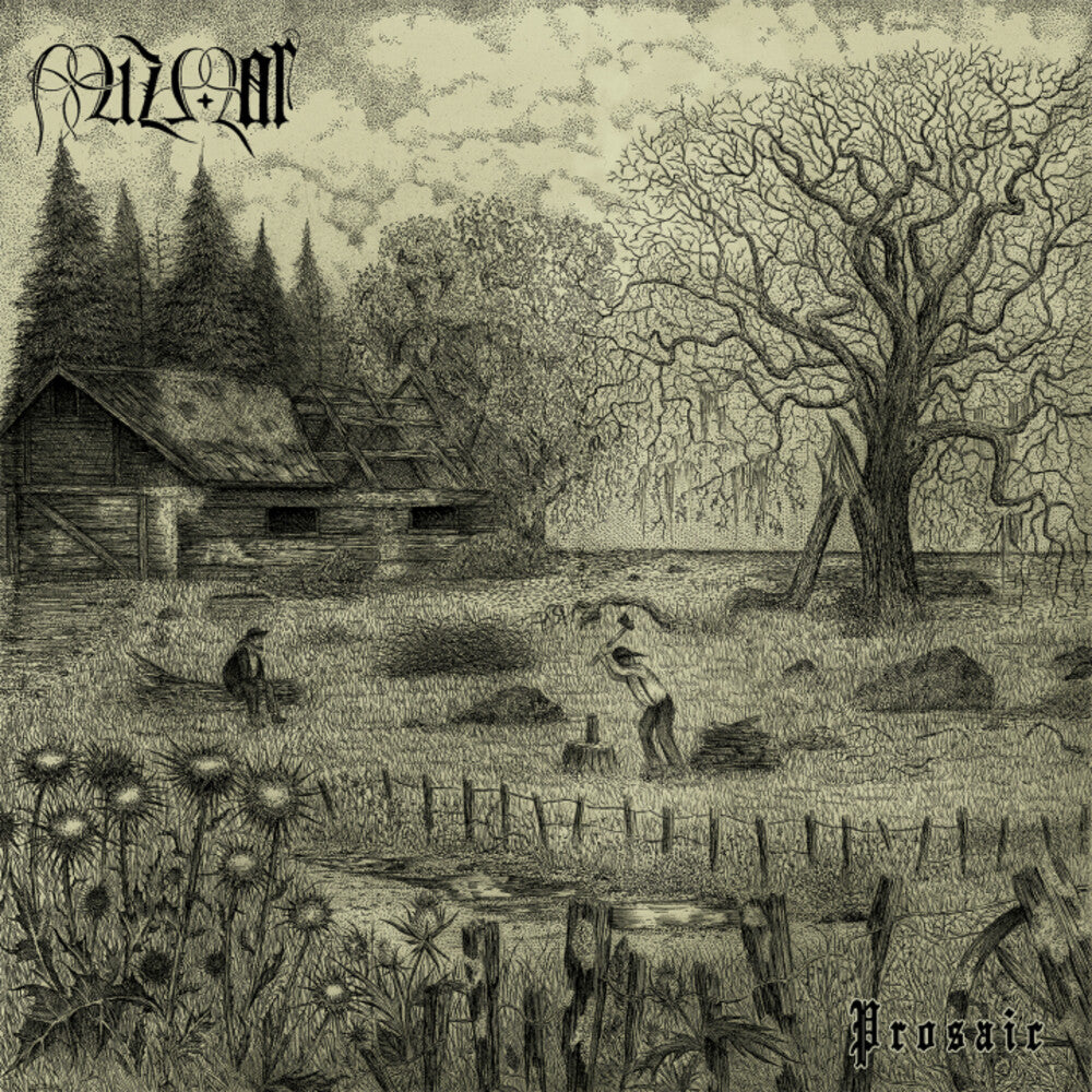 the album cover for Mizmor - Prosaic
