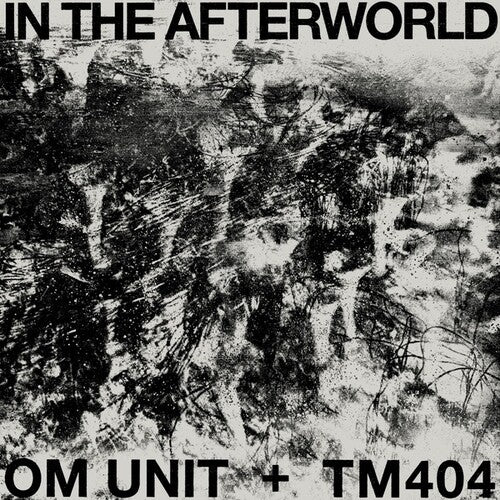 イン・ザ・アフターワールド(ビニールレコード)