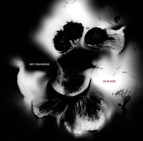 ヘイ・コロッサス - イン・ブラッド (CD)