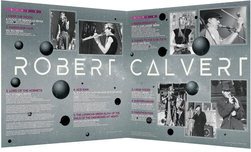 ロバート・カルバート - ラスト・スターファイター (ビニールレコード)