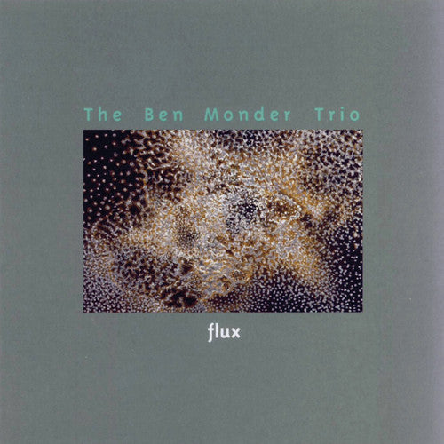 the album cover for Ben Monder Trio - Flux
