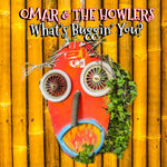 the album cover for Unknown Artist - What's Buggin' You?