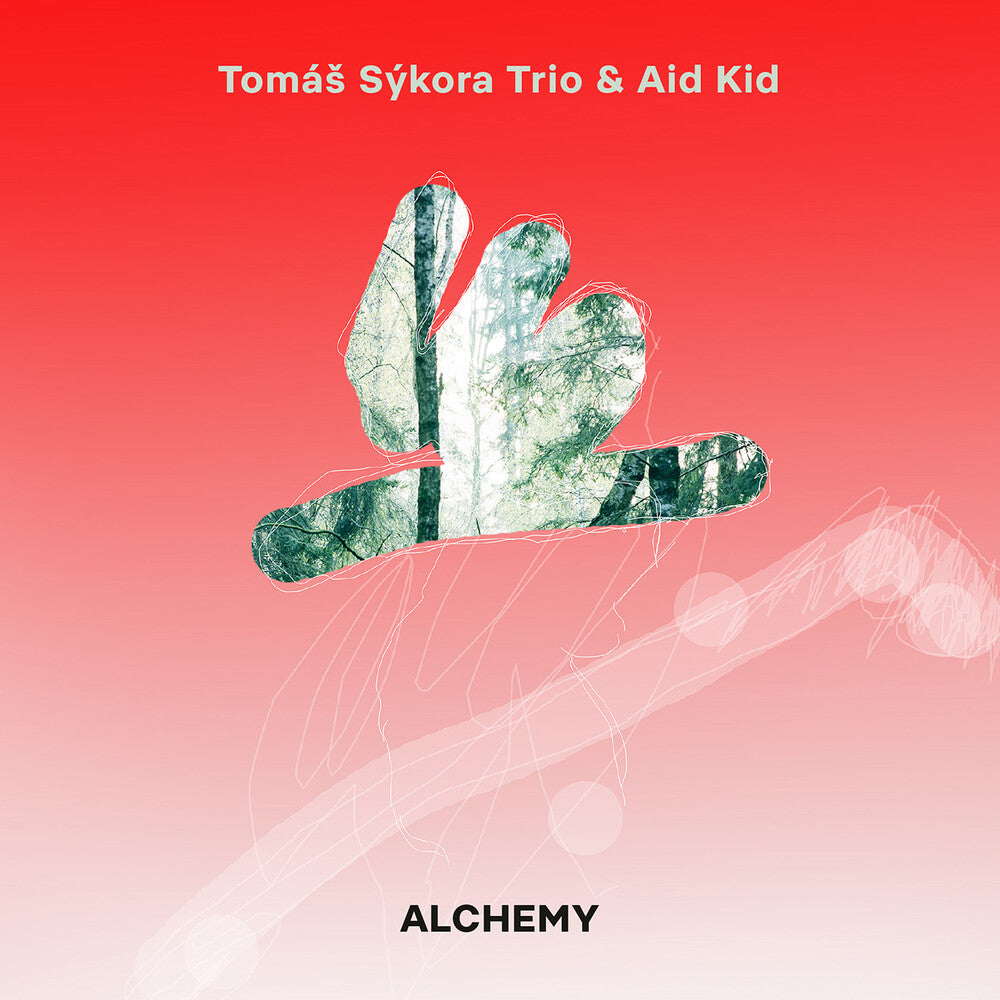 the album cover for Aid Kid / Tomas Liska - Tomas Sykora Trio & Aid Kid - Alchemy