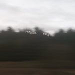 Escuela de Cine - Campo - Verde Bosque (Vinilo)