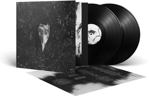 Bees Made Honey in the Vein Tree - Aion (Vinyl)
