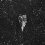 the album cover for Bees Made Honey in the Vein Tree - Aion