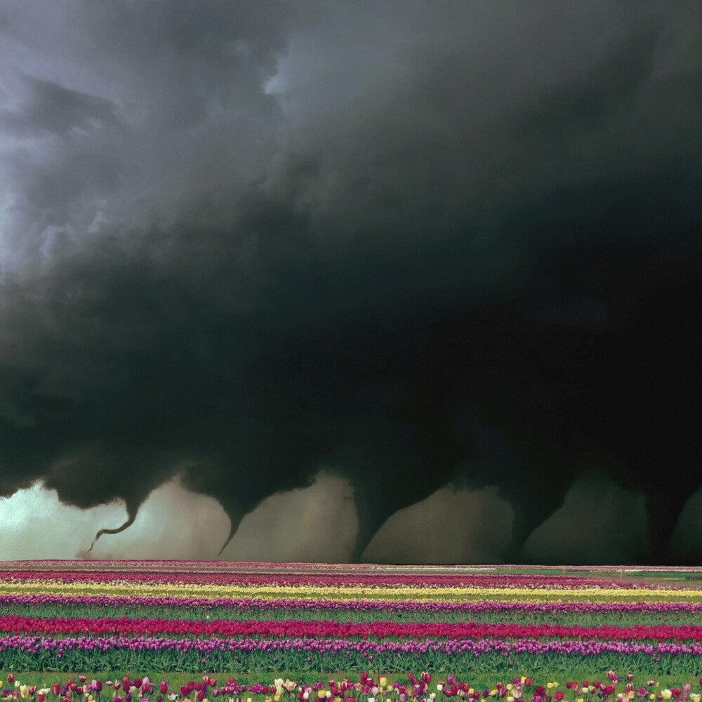 the album cover for M.A.G.S. - Destroyer