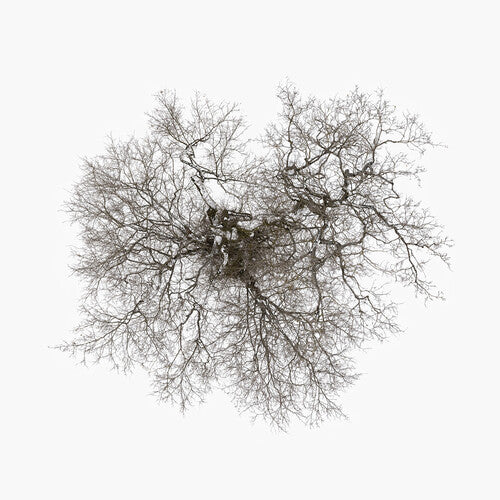 John Metcalfe - Árbol (CD)