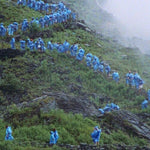 コートニー・バーネット - エンド・オブ・ザ・デイ(映画『アノニマス・クラブ』の音楽)(レコード)