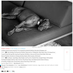 Party Milk - Your Problem (Vinyl)