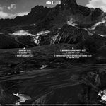 アンドリュー・バード - アウトサイド・プロブレムズ (ビニールレコード)