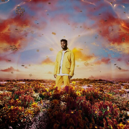 Nonso Amadi - When It Blooms (Vinyl)