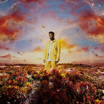 Nonso Amadi - When It Blooms (Vinyl)