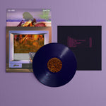 Fly Anakin - Skinemaxxx (Vinyl)
