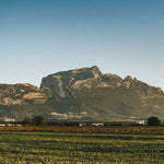 the album cover for Deena Abdelwahed - Jbal Rrsas