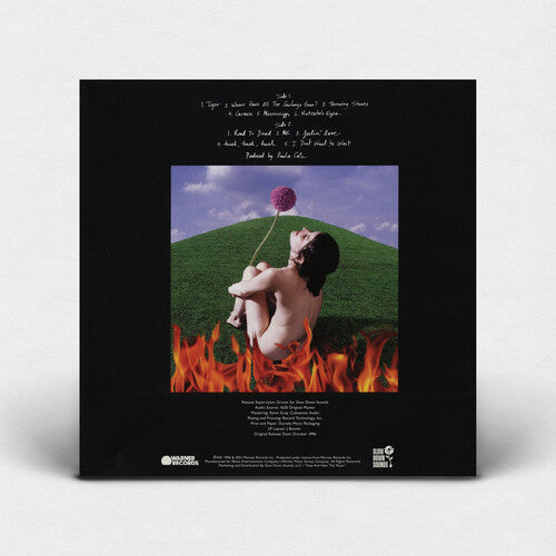 Paula Cole - Este fuego (Vinilo)