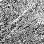 Say She She - シルバー(ビニール盤)