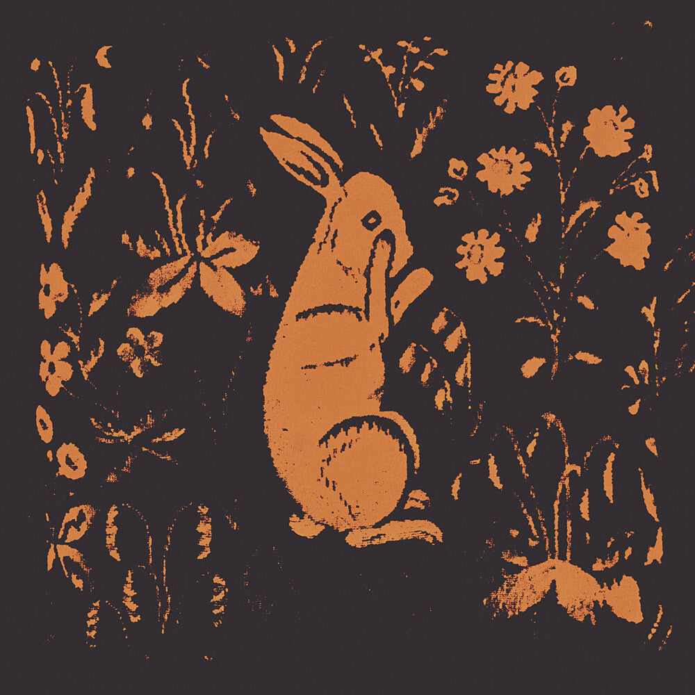 the album cover for Sadness - Rabbit Album