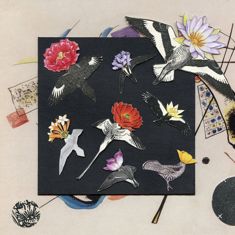 the album cover for Caroline Davis - Alula: Captivity