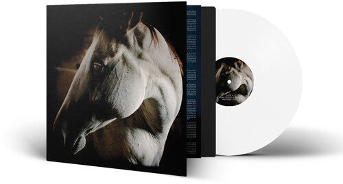 Brother Dege - How To Kill A Horse (Vinyl)