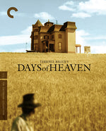 Days of Heaven (Criterion Collection) (4K Ultra HD)