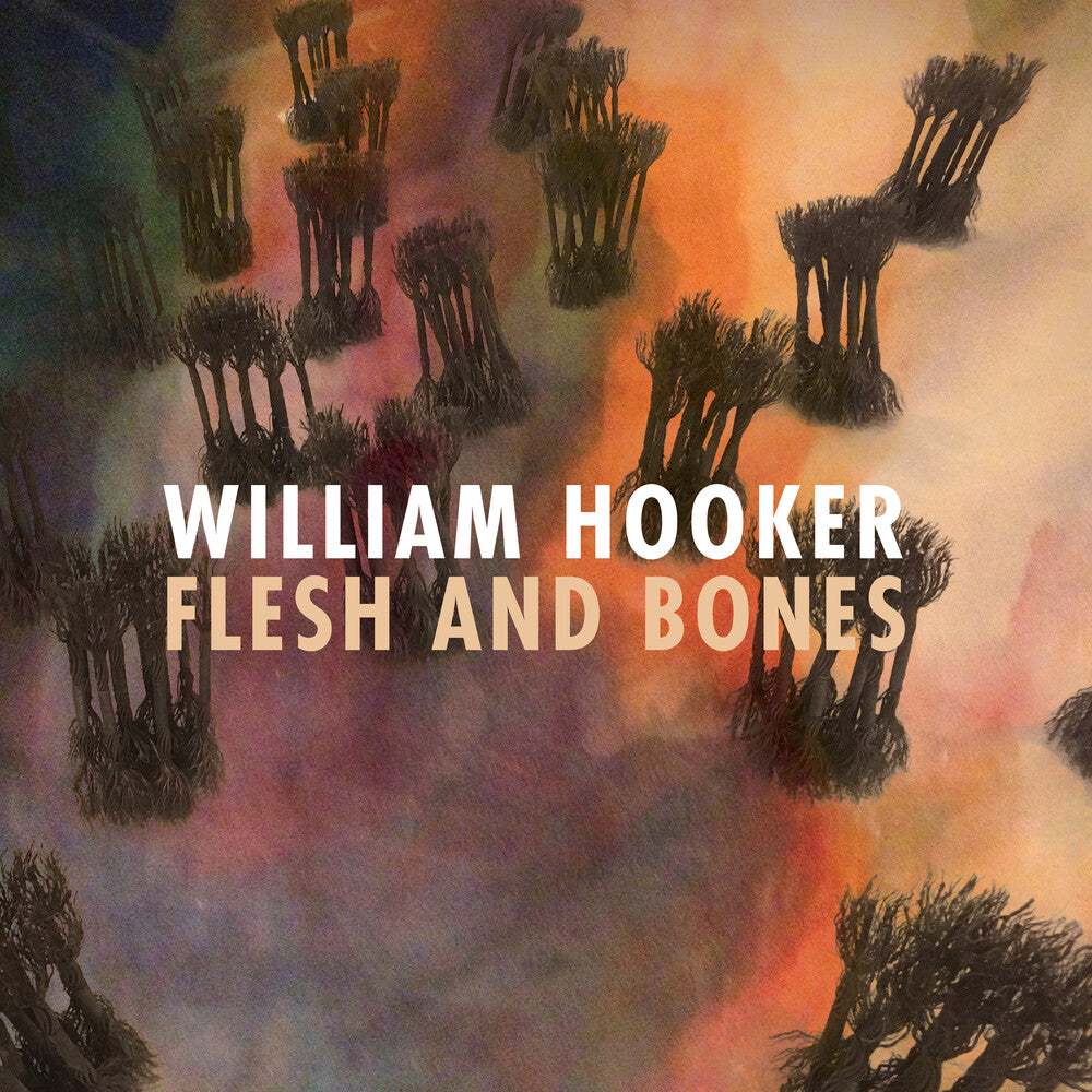 the album cover for William Hooker - Flesh And Bones
