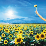 ストーン・テンプル・パイロッツ - サンキュー(レコード)