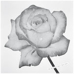 Sg (Andrew Pekler) - Solo para amantes/Suite Rain (Vinilo)