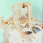 the album cover for Pale Saints - In Ribbons