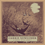 the album cover for Carrie Newcomer - Great Wild Mercy