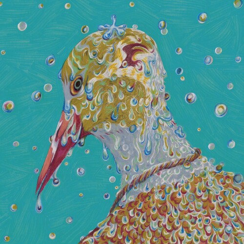 シャルトリューズ - モーニング・リチュアル (CD)