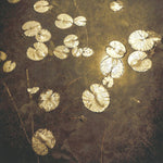 the album cover for Northwoods Improvisers - Fanfares
