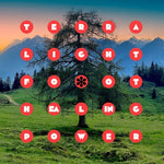 Terra Lightfoot - Poder Curativo (Vinilo)