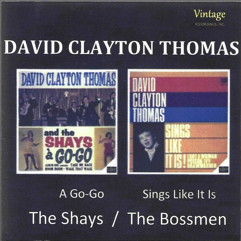 the album cover for David ThomasClayton - Shays & Bossmen