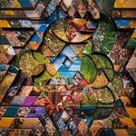 Miguel Atwood-Ferguson - Les Jardins Mystiques 1 (Vinyl)