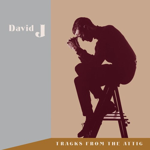 David J - Tracks From The Attic (RSDBF) (レコード)