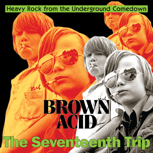 Various Artists - Brown Acid - The Seventeenth Trip (Various Artists) (Vinyl)