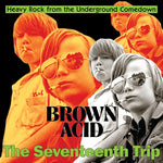 Various Artists - Brown Acid - The Seventeenth Trip (Various Artists) (Vinyl)