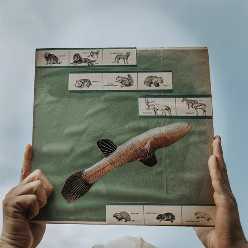 Cotton Jones - El río rasgueando (Vinilo)