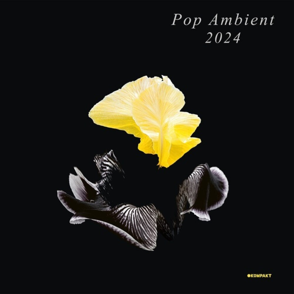 the album cover for Pop Ambient 2024 / Various - Pop Ambient 2024 / Various