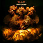 TAP - パラダイムズ (CD)