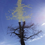 Laetitia Sadier - Rooting For Love (CD)